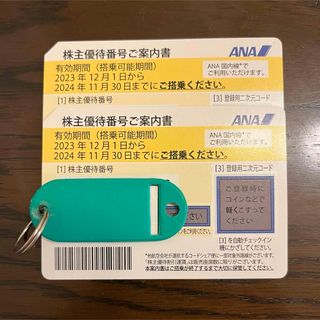 エーエヌエー(ゼンニッポンクウユ)(ANA(全日本空輸))のANA株主優待券(航空券)