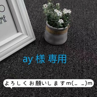 ay 様 専用(その他)