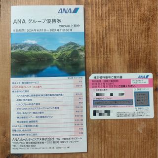 ANA(全日本空輸) - ANA株主優待券 1枚：2025年5月31日まで／グループ優待券 1冊