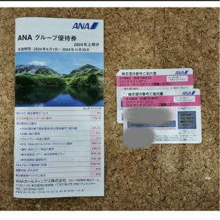 エーエヌエー(ゼンニッポンクウユ)(ANA(全日本空輸))のANA　株主優待　２枚(航空券)