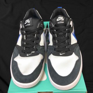 ナイキ(NIKE)のNIKE sb ナイキ　alleyoop アリウープ　28 スケーター　(スニーカー)