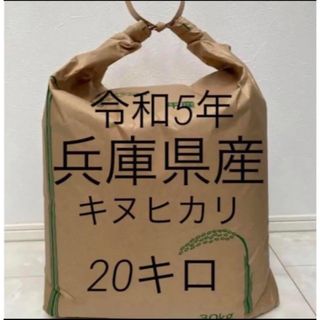 【兵庫県産　玄米】20キロ　キヌヒカリ(米/穀物)