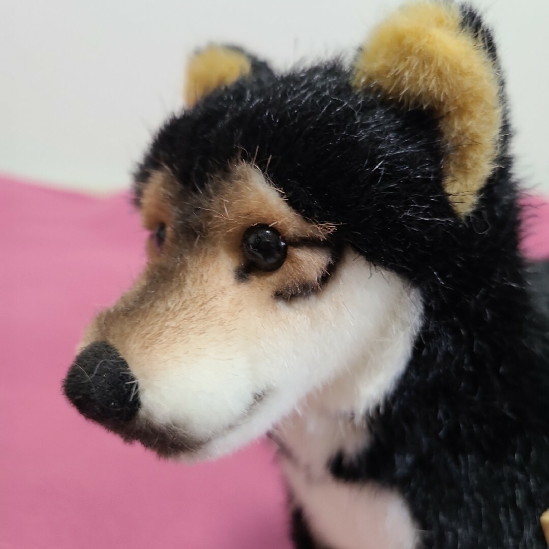 ⭐ケーセン ぬいぐるみ 黒柴犬⭐ エンタメ/ホビーのおもちゃ/ぬいぐるみ(ぬいぐるみ)の商品写真