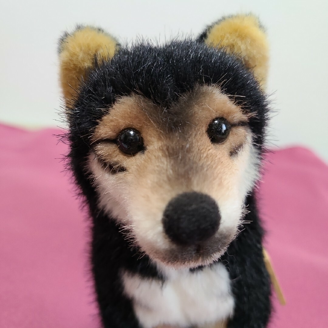 ⭐ケーセン ぬいぐるみ 黒柴犬⭐ エンタメ/ホビーのおもちゃ/ぬいぐるみ(ぬいぐるみ)の商品写真