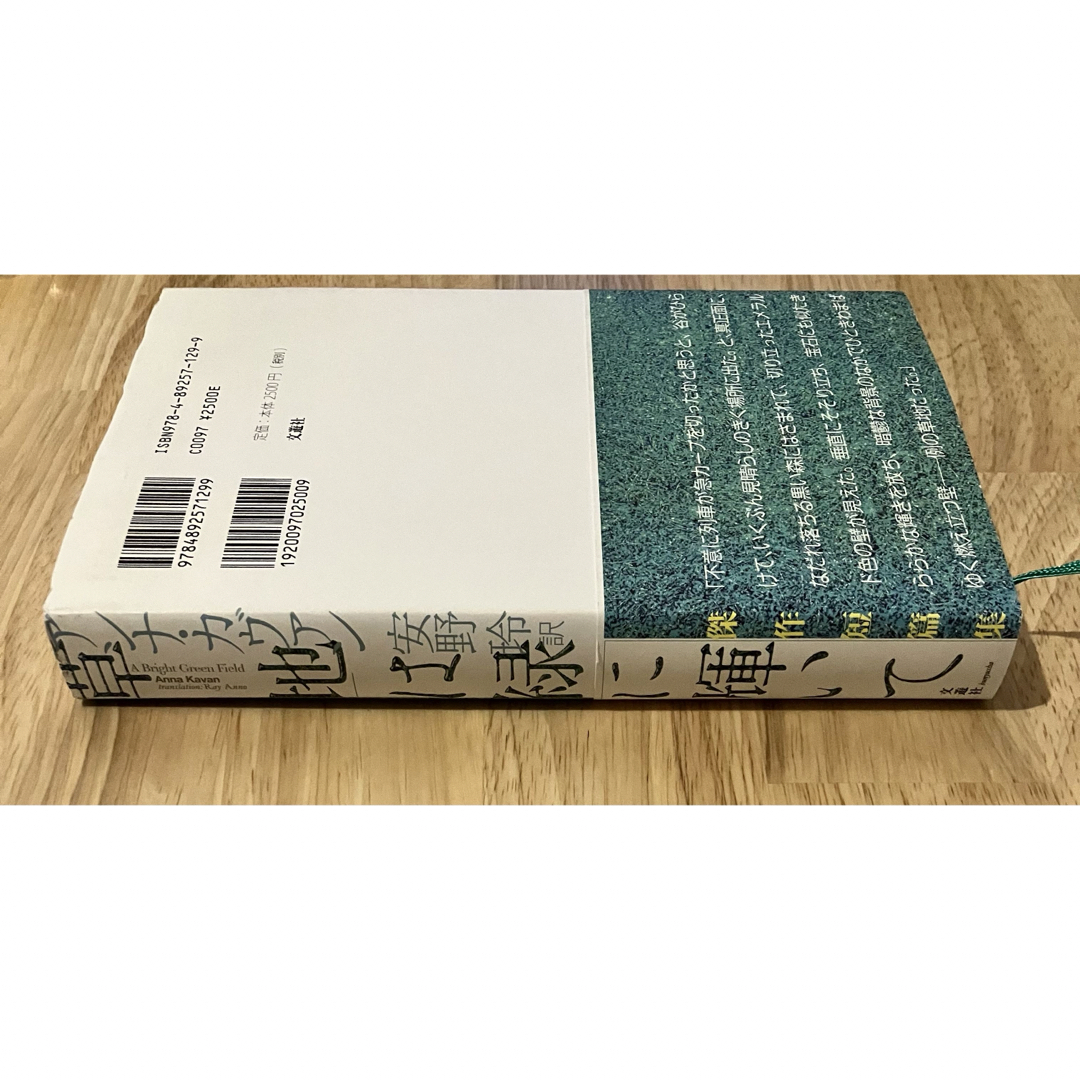 アンナ・カヴァン 草地は緑に輝いて 中期傑作短篇集 エンタメ/ホビーの本(文学/小説)の商品写真