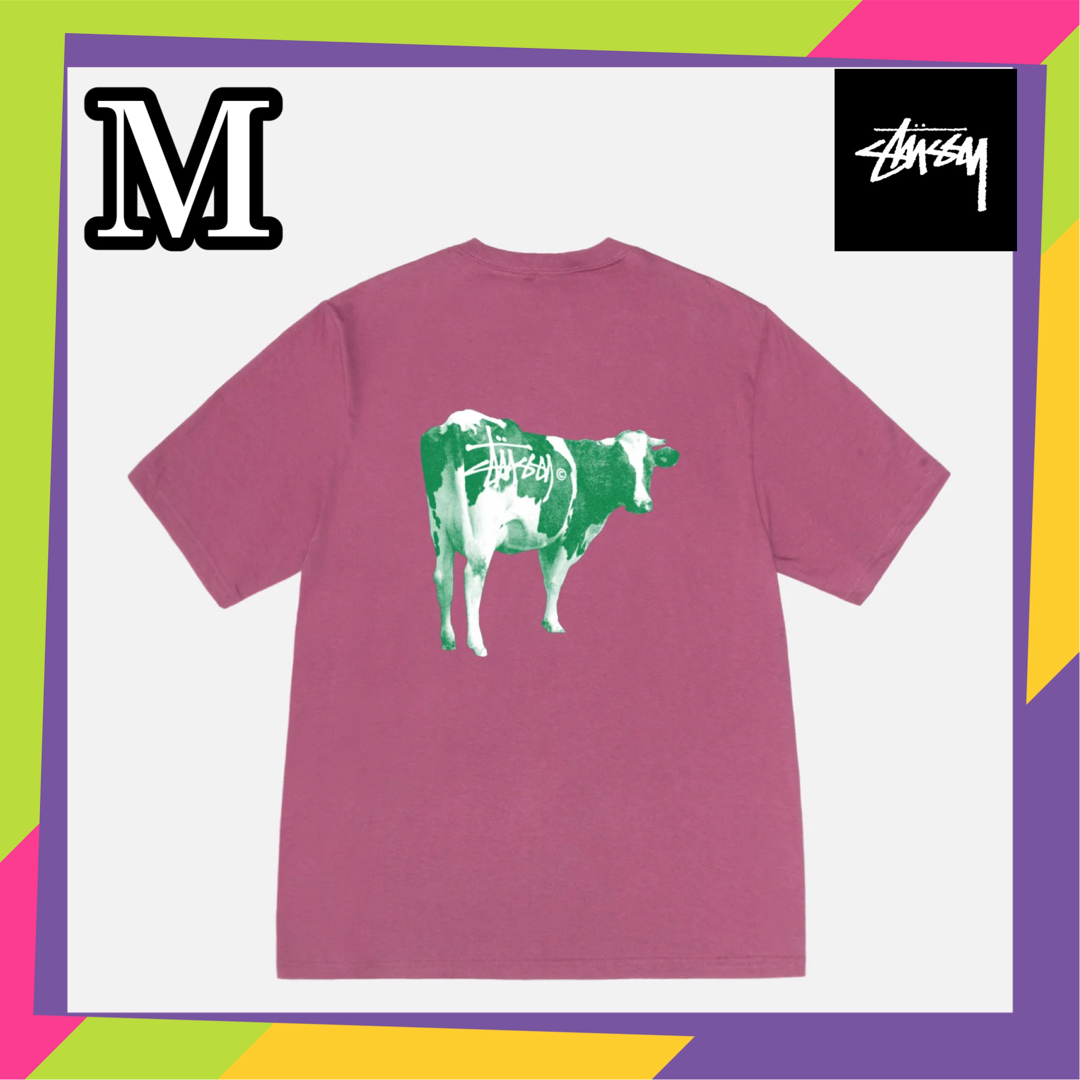 STUSSY(ステューシー)のStussy GRASSFED TEE 牛  M メンズのトップス(Tシャツ/カットソー(半袖/袖なし))の商品写真