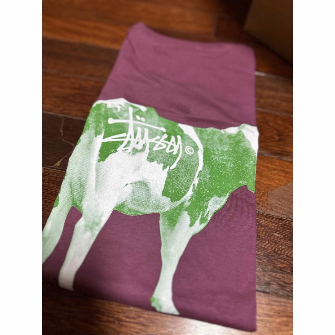 STUSSY(ステューシー)のStussy GRASSFED TEE 牛  M メンズのトップス(Tシャツ/カットソー(半袖/袖なし))の商品写真