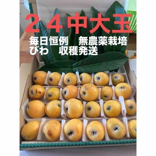 毎日恒例　無農薬　自然栽培　びわ　果物　野菜　収穫発送　値引不可(フルーツ)