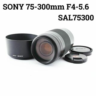 ソニー(SONY)のSONY 75-300mm F4-5.6 SAL75300 望遠レンズ(レンズ(ズーム))