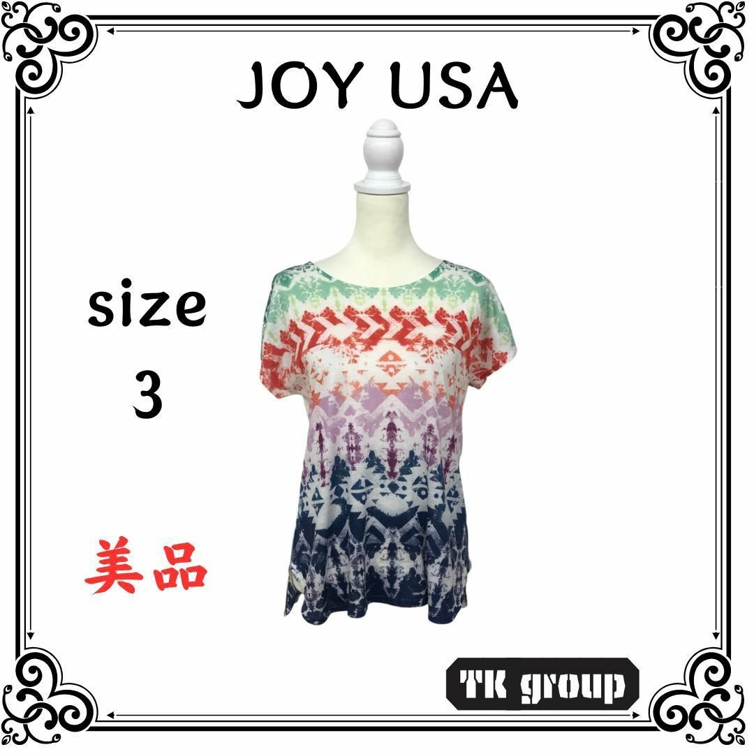 JOY(ジョイ)の美品 JOY USA レディース トップス Tシャツ カットソー 半袖 総柄 3 レディースのトップス(Tシャツ(半袖/袖なし))の商品写真