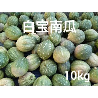 白宝かぼちゃ　１０kg　６〜８玉　3(野菜)