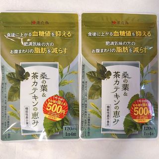 和漢の森　桑の葉&茶カテキンの恵み 120粒入×2袋(その他)