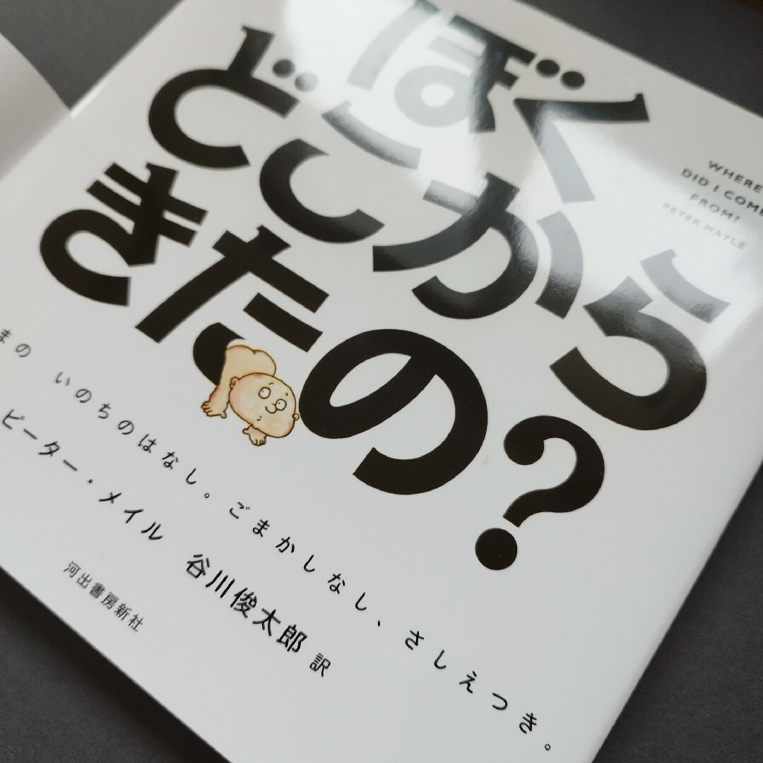 ぼくどこからきたの？ エンタメ/ホビーの本(絵本/児童書)の商品写真