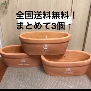 3個【未使用】素焼きオーバル 型テラコッタ鉢 プランター　ガーデニング 寄せ植え(プランター)