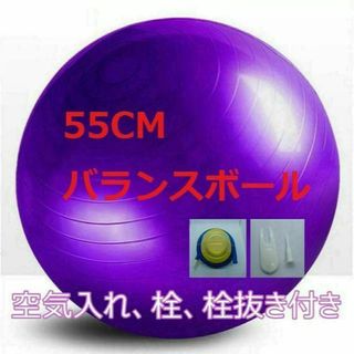 バランスボール ヨガボール パープル 55cm フィットネス 空気入れ付き(ヨガ)