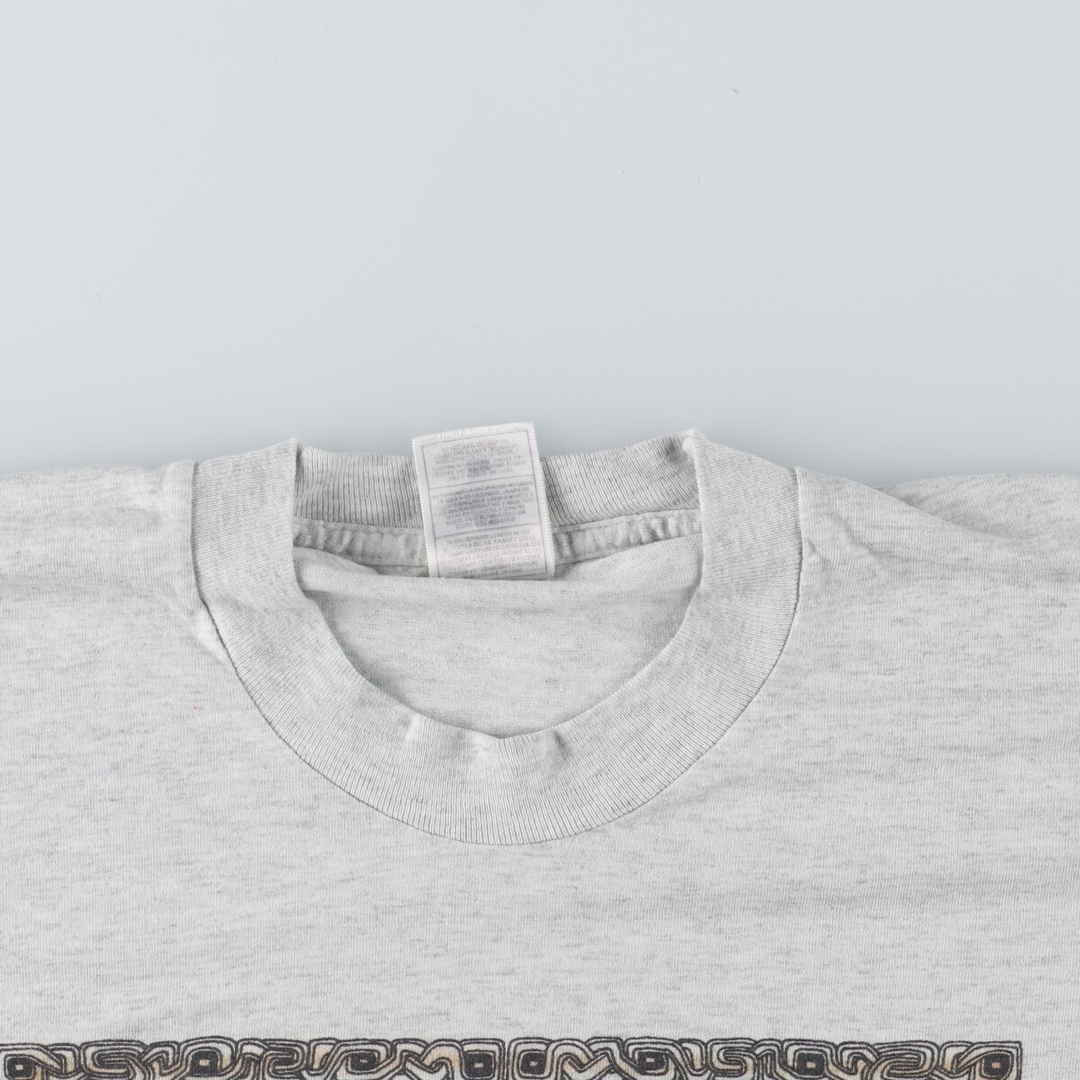 FRUIT OF THE LOOM(フルーツオブザルーム)の古着 90年代 フルーツオブザルーム FRUIT OF THE LOOM 龍柄 アニマルTシャツ メンズL ヴィンテージ  /eaa447154 メンズのトップス(Tシャツ/カットソー(半袖/袖なし))の商品写真