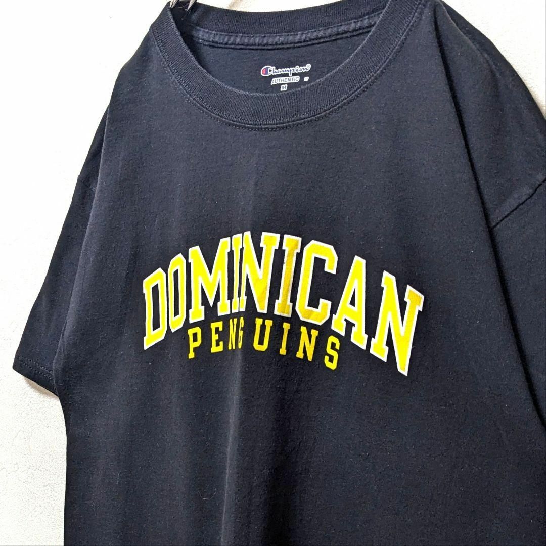 Champion(チャンピオン)のチャンピオン ドミニカンペンギンズ Tシャツ ブラック 黒 古着 メンズのトップス(Tシャツ/カットソー(半袖/袖なし))の商品写真