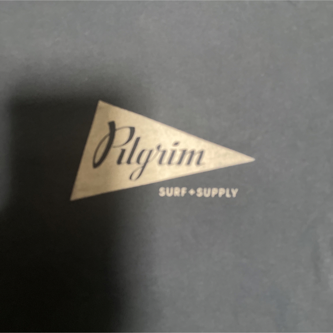 BEAMS(ビームス)のpilgrim surf Tシャツ ピルグリム サーフ サプライ メンズのトップス(Tシャツ/カットソー(半袖/袖なし))の商品写真