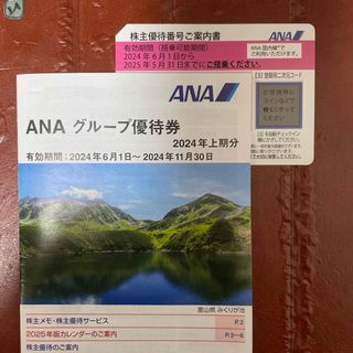 エーエヌエー(ゼンニッポンクウユ)(ANA(全日本空輸))のANA 株主優待券(航空券)