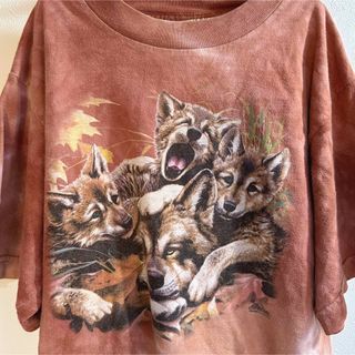 グリモワール(Grimoire)のキッズ　古着　ヴィンテージ　usa ザマウンテン　犬　Tシャツ　タイダイ　茶色(Tシャツ/カットソー)