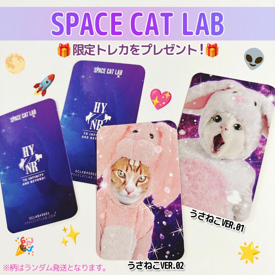 【値引き有】しろねこ トレカ フォトカード ケース ホルダー ぬいぐるみ デコ エンタメ/ホビーのCD(K-POP/アジア)の商品写真