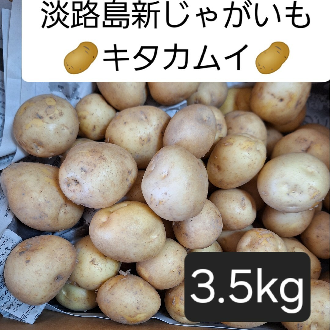 淡路島産新じゃがいも🥔キタカムイ3.5kg 食品/飲料/酒の食品(野菜)の商品写真