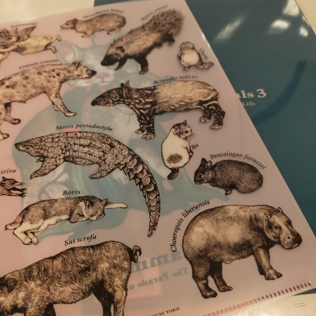 ヒグチユウコ大哺乳類展&ミルキー エンタメ/ホビーのコレクション(その他)の商品写真