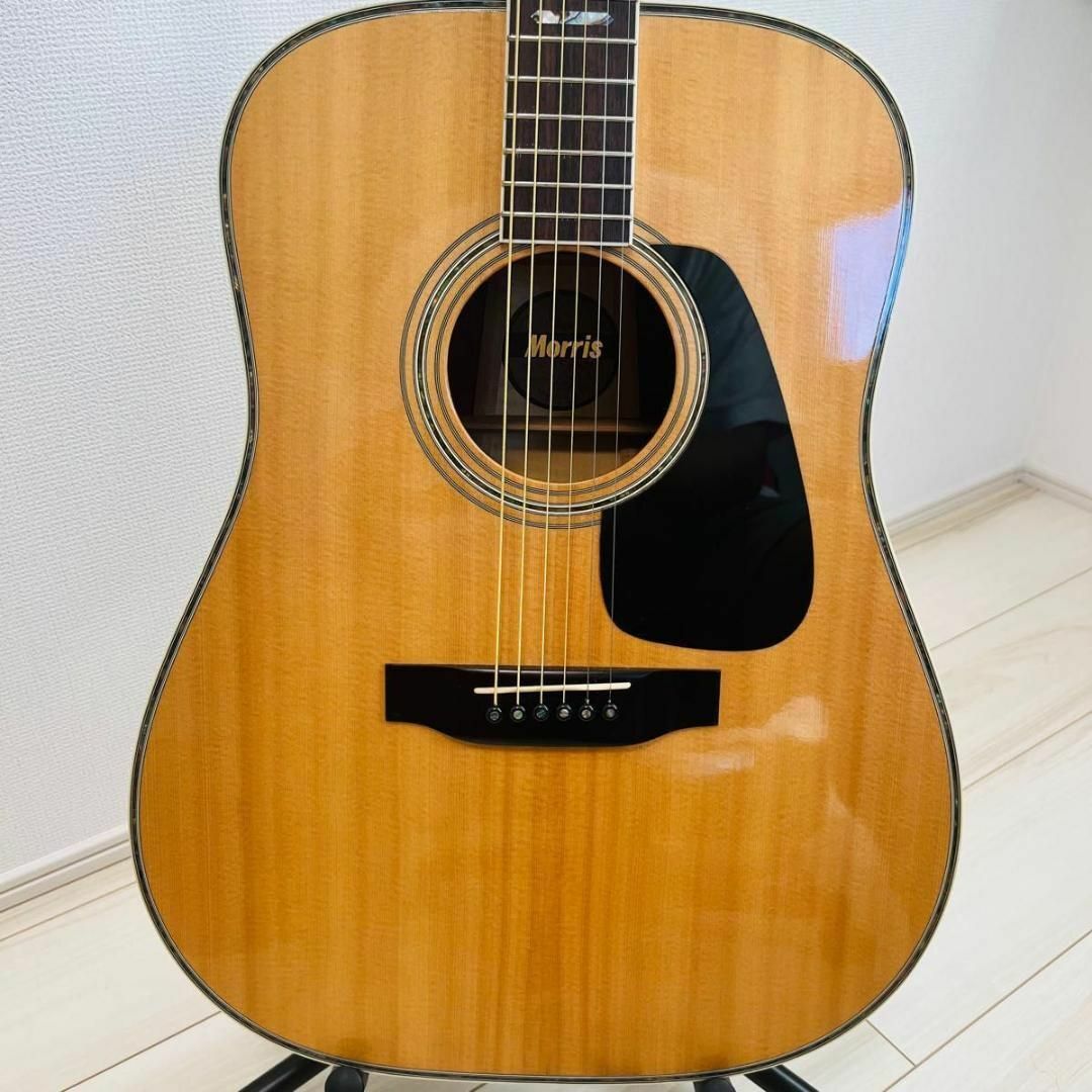 【奇跡の逸品】極上品 Morris  TF-801 アコースティックギター 楽器のギター(アコースティックギター)の商品写真