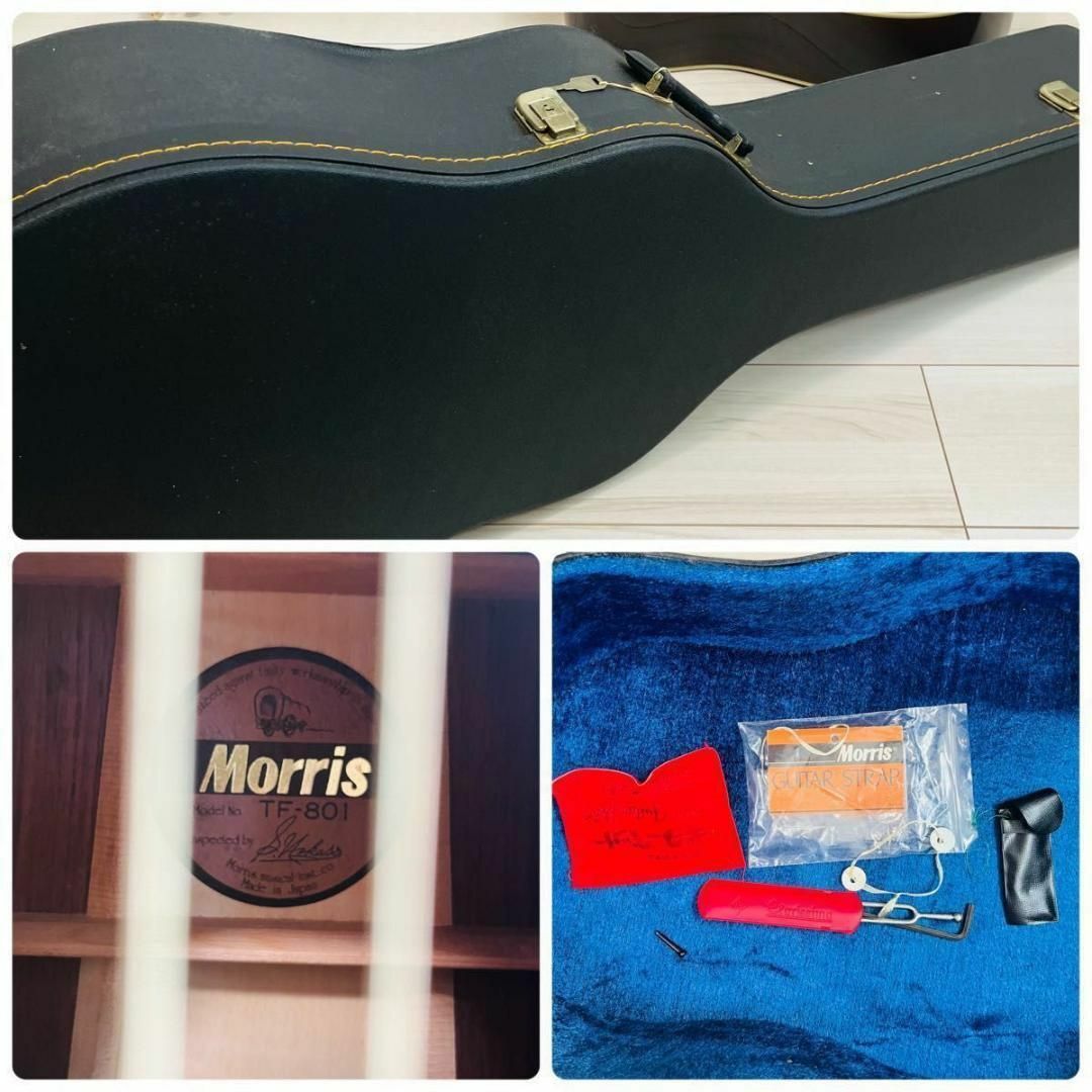 【奇跡の逸品】極上品 Morris  TF-801 アコースティックギター 楽器のギター(アコースティックギター)の商品写真