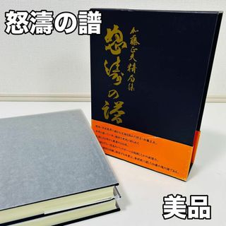 怒濤の譜 加藤正夫精局集上下巻 日本棋院 囯碁 棋士 書籍 專門書 美品(趣味/スポーツ/実用)