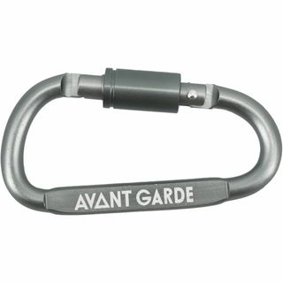  AVANT GARDE  locking carabiner D型 S型 ロッ(その他)