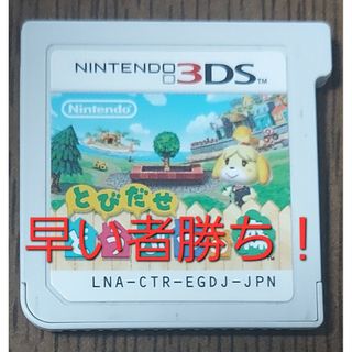 3DS とびだせ どうぶつの森