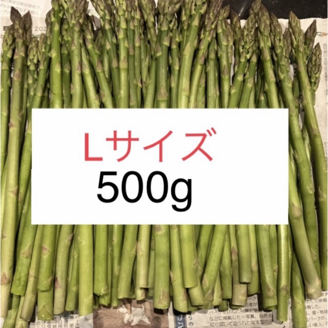 アスパラ　Lサイズ500g 食品/飲料/酒の食品(野菜)の商品写真