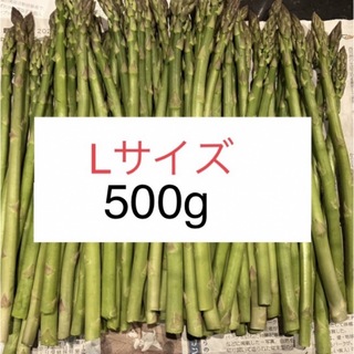 アスパラ　Lサイズ500g(野菜)