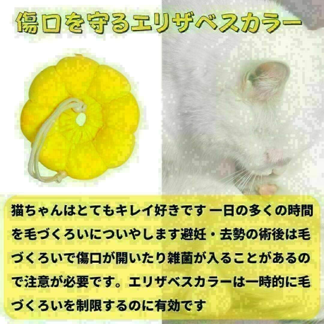 エリザベスカラー Lサイズ 猫 犬 ペット用品 クッション やわらかい その他のペット用品(猫)の商品写真