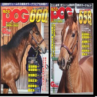 POG2冊セット(ニュース/総合)