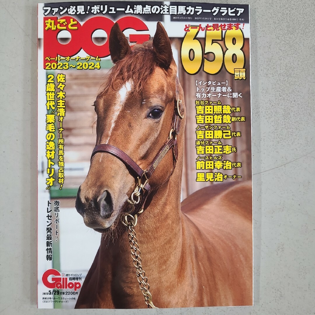 POG3冊セット！！ エンタメ/ホビーの雑誌(ニュース/総合)の商品写真