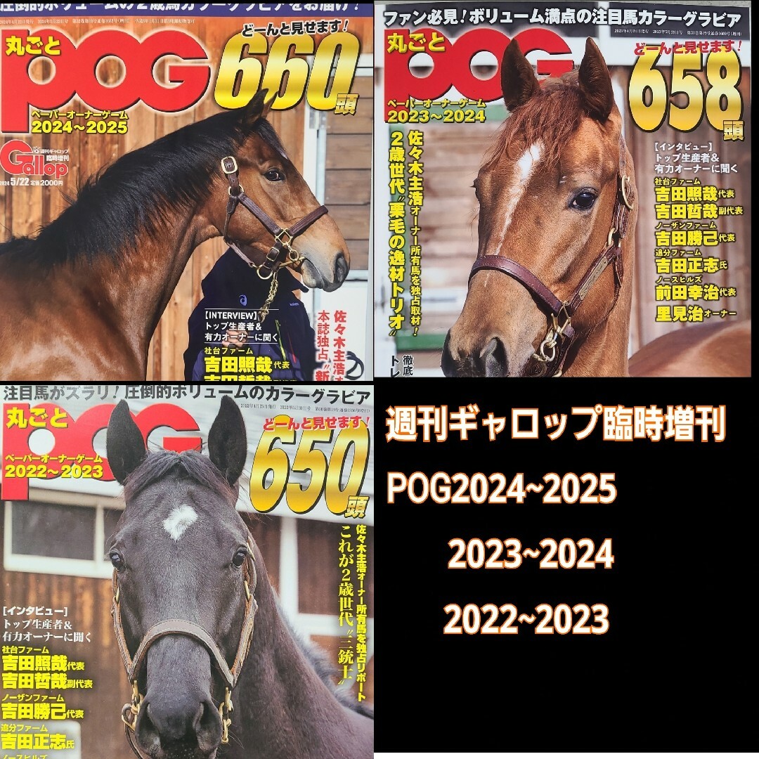 POG3冊セット！！ エンタメ/ホビーの雑誌(ニュース/総合)の商品写真