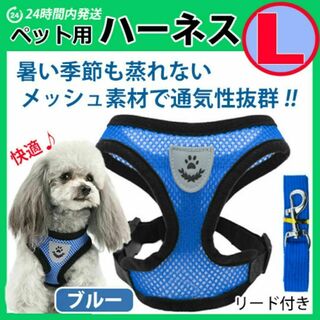 犬 ハーネス 【Ｌサイズ・ブルー】ベストタイプ メッシュ リード 散歩(犬)