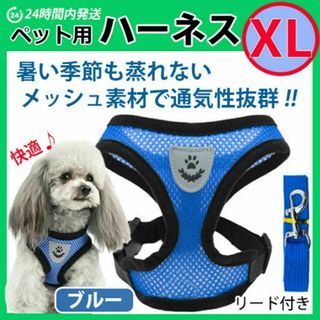 犬 ハーネス 【ＸＬサイズ・ブルー】ベストタイプ メッシュ リード 散歩(犬)