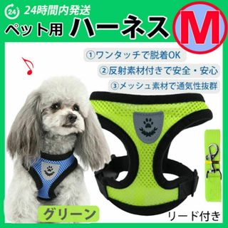 ハーネス　蒸れないメッシュタイプ【Ｍサイズ・グリーン】ベストタイプ 犬 リード(犬)