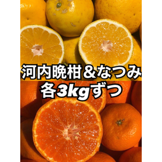 愛媛県産みかん  河内晩柑 ＆ なつみ  各3kg 柑橘 ミカン 果物(フルーツ)