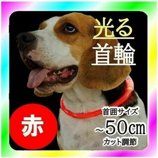 新品送料無料 ペット用 夜のお散歩 光る首輪 50㎝ レッド(犬)