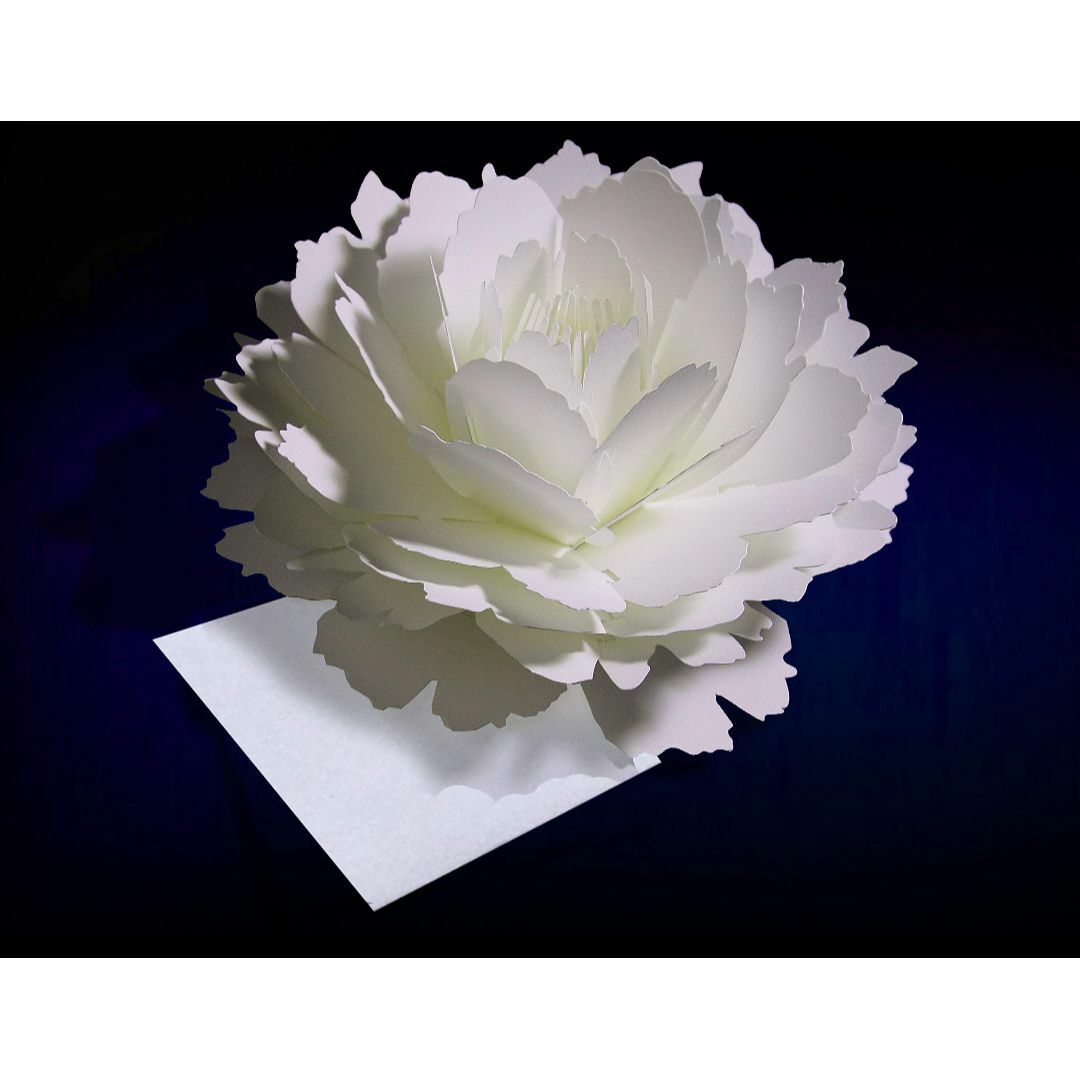 〈ピオニー〉咲くようにひらく 花のサンキューカード forバースデーカード・ウェ その他のその他(その他)の商品写真