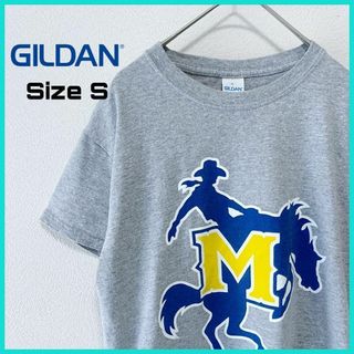 ギルダン Tシャツ クルーネック 古着 S プリント柄 グレー/45