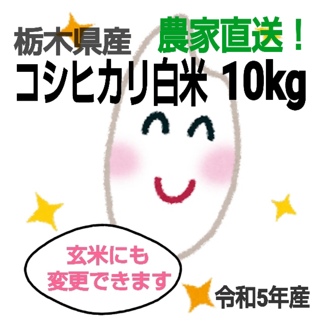 【令和5年 新米 栃木県産コシヒカリ 10kg☆白米】 食品/飲料/酒の食品(米/穀物)の商品写真