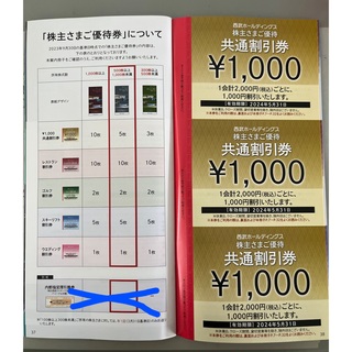 西武ホールディングス　株主優待　500株以上1000株未満(その他)