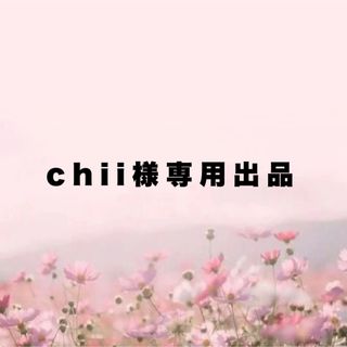 Chii様専用出品(ネイルチップ)