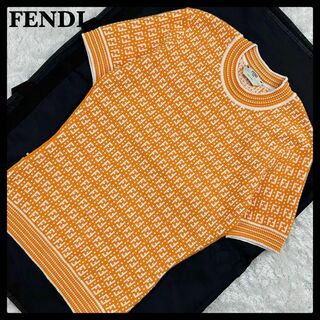 FENDI - 【極美品】フェンディ FENDI☆ズッカ柄半袖ニット Tシャツ 現行モデル