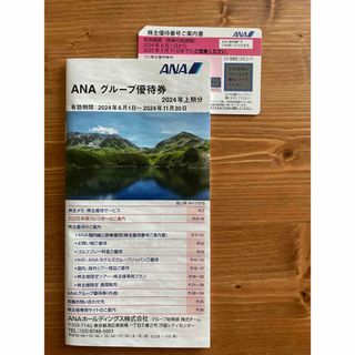 エーエヌエー(ゼンニッポンクウユ)(ANA(全日本空輸))のANA(航空券)